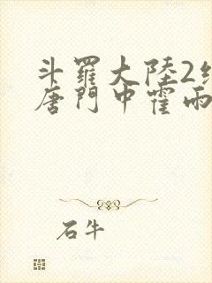 斗罗大陆2绝世唐门中霍雨浩