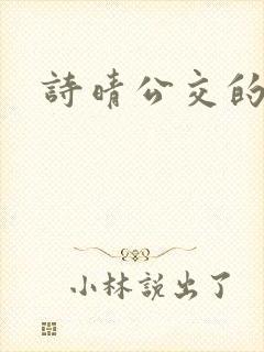 诗晴公交的小说封面