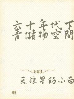 六十年代下乡知青储物空间