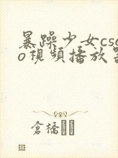 暴躁少女csgo视频播放器推荐