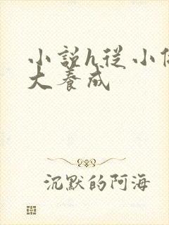 小说h从小做到大养成