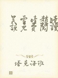 吴雪晴赵晓东小说免费阅读封面