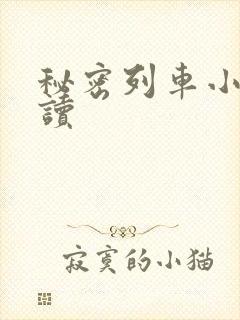 秘密列车小说阅读