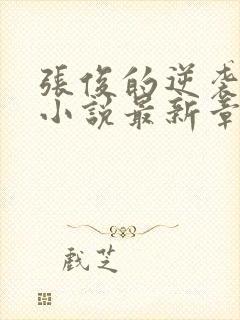 张俊的逆袭之路小说最新章节