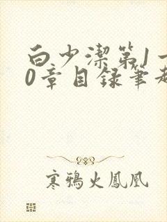 白少洁第1一40章目录笔趣阁