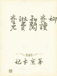 齐琳和齐娜全文免费阅读封面