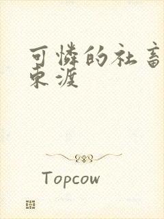 可怜的社畜人设东渡封面