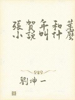 张贺年和叶繁姿小说叫什么名字