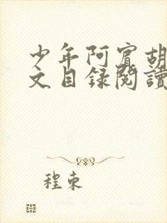 少年阿宾胡太全文目录阅读在线封面