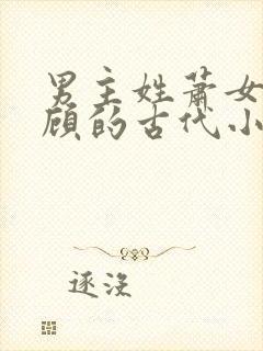 男主姓萧女主姓顾的古代小说