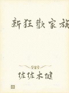新狂欢家族小说