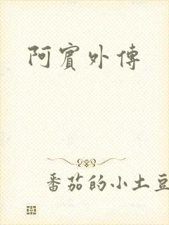 阿宾外传
