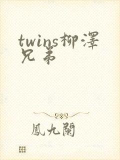 twins柳泽兄弟