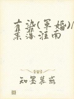有染(军婚)/叶落淮南