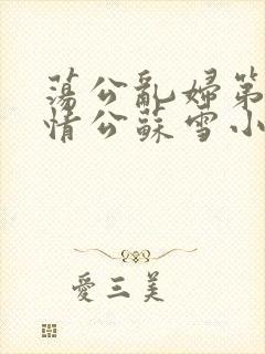 荡公乱妇第1章情公苏雪小说