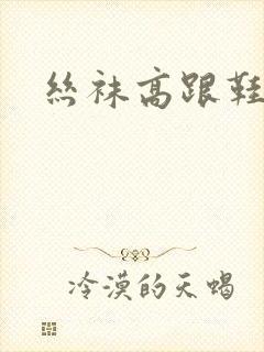 丝袜高跟鞋小说