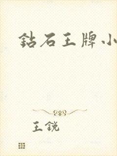 钻石王牌小说封面