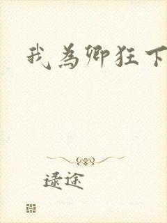 我为卿狂下载封面