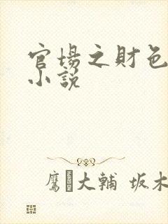 官场之财色诱人小说