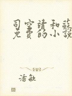 司空靖和苏月汐免费的小说笔趣阁