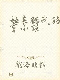 她来听我的演唱会小说