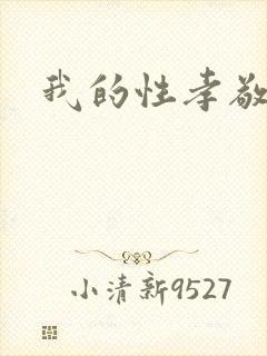 我的性孝敬封面