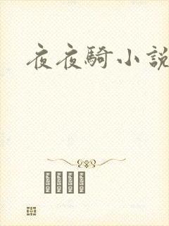 夜夜骑小说