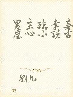 男主临幸妾室的虐心小说古言封面