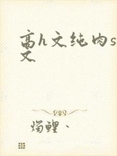 高h文纯肉sm文