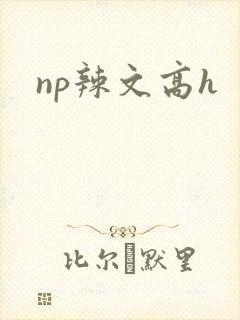 np辣文高h