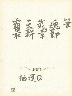 霸天武魂笔趣阁最新章节