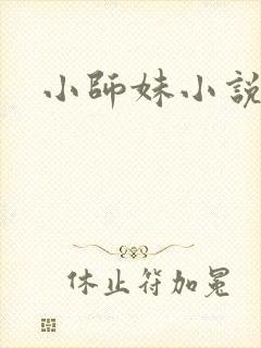 小师妹小说封面