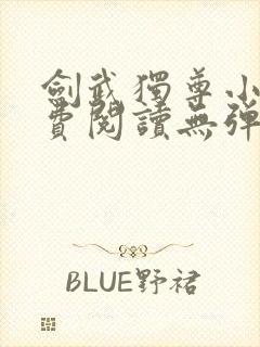 剑武独尊小说免费阅读无弹窗封面