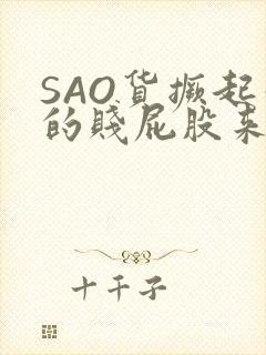 SAO货撅起你的贱屁股来