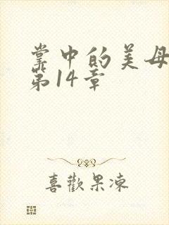 掌中的美母版主第14章封面