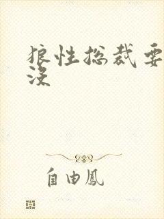 狼性总裁要够了没