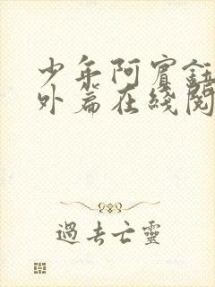 少年阿宾钰慧番外篇在线阅读免费