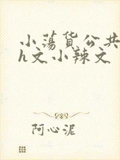 小荡货公共场所h文小辣文封面
