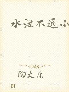 水泄不通小说