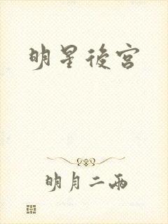 明星后宫