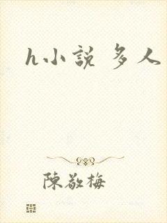 h小说 多人