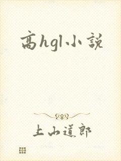 高hgl小说