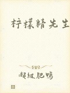 柠檬精先生封面