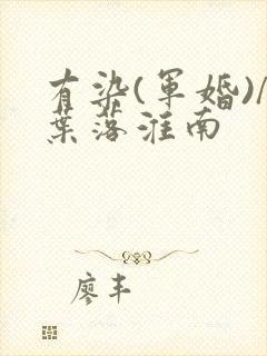 有染(军婚)/叶落淮南封面