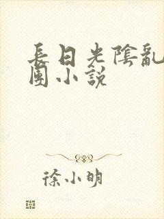 长日光阴乱作一团小说