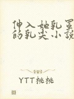 伸入她乳罩揉她的乳尖小说