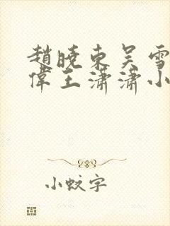 赵晓东吴雪晴郑伟王潇潇小说名字