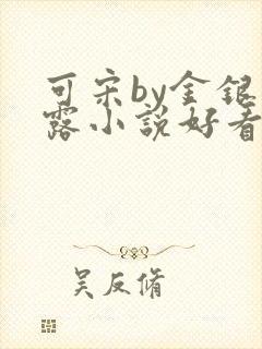 可宋by金银花露小说好看吗