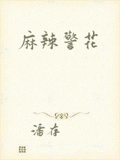 麻辣警花