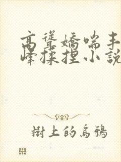 高耸娇喘丰满乳峰揉捏小说